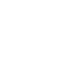 LARGE  WHITE